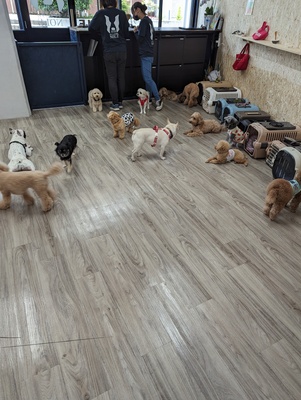 1日体験レッスン