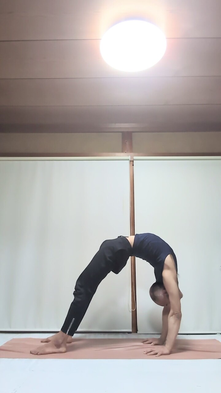 【オンラインワークショップ】5/10(日)ブリッジの正しいやり方、正しい指導法