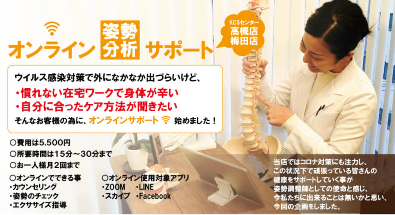 姿勢調整オンライン診断