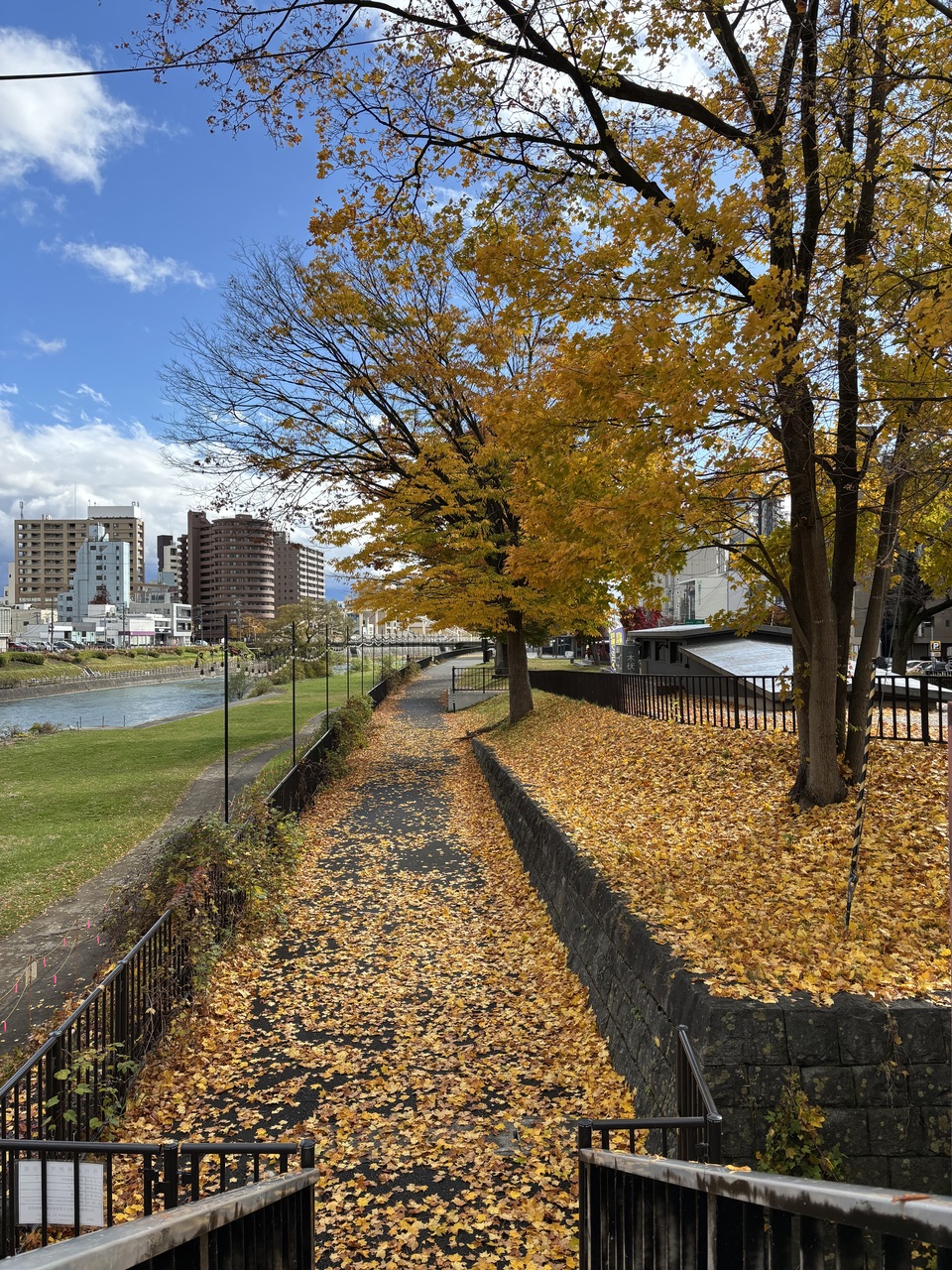 【岩手盛岡】マシンピラティス体験会