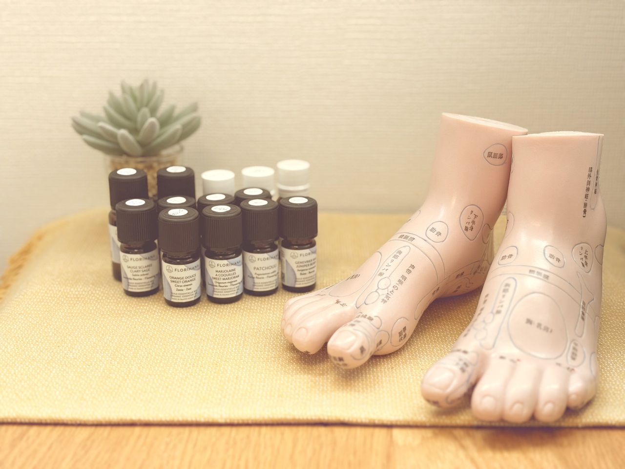 ご予約はこちらから