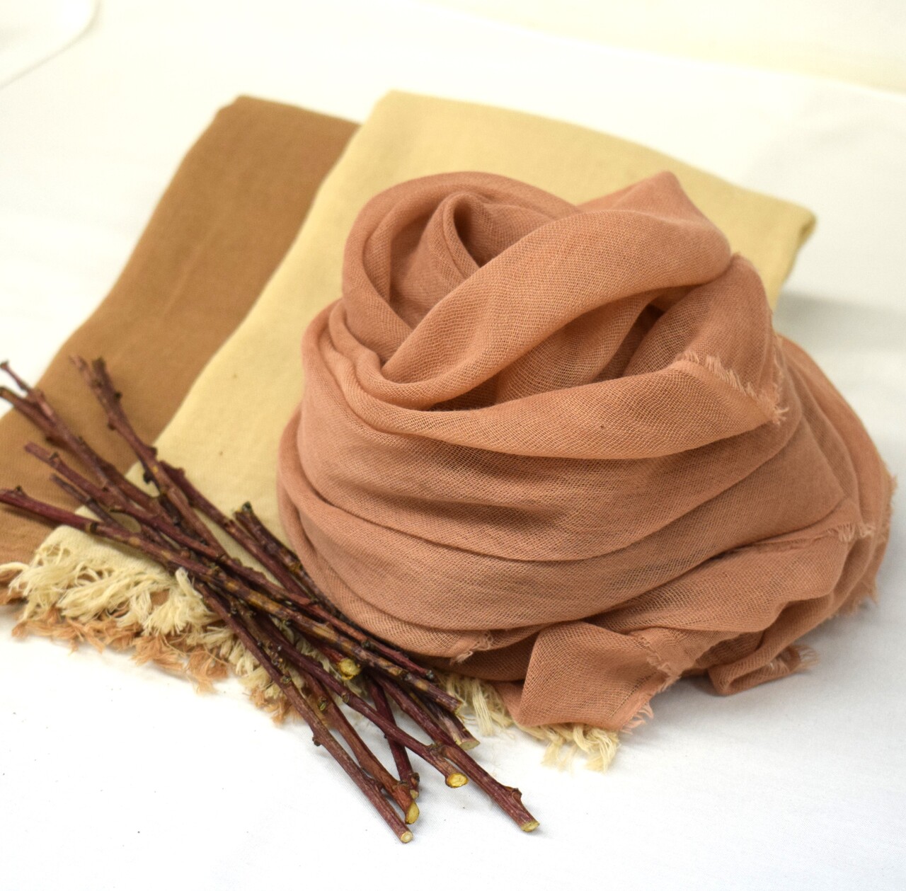 札幌の植物で染めてみよう〈梅〉｜4/5(日)【対象:小学5年生以上】