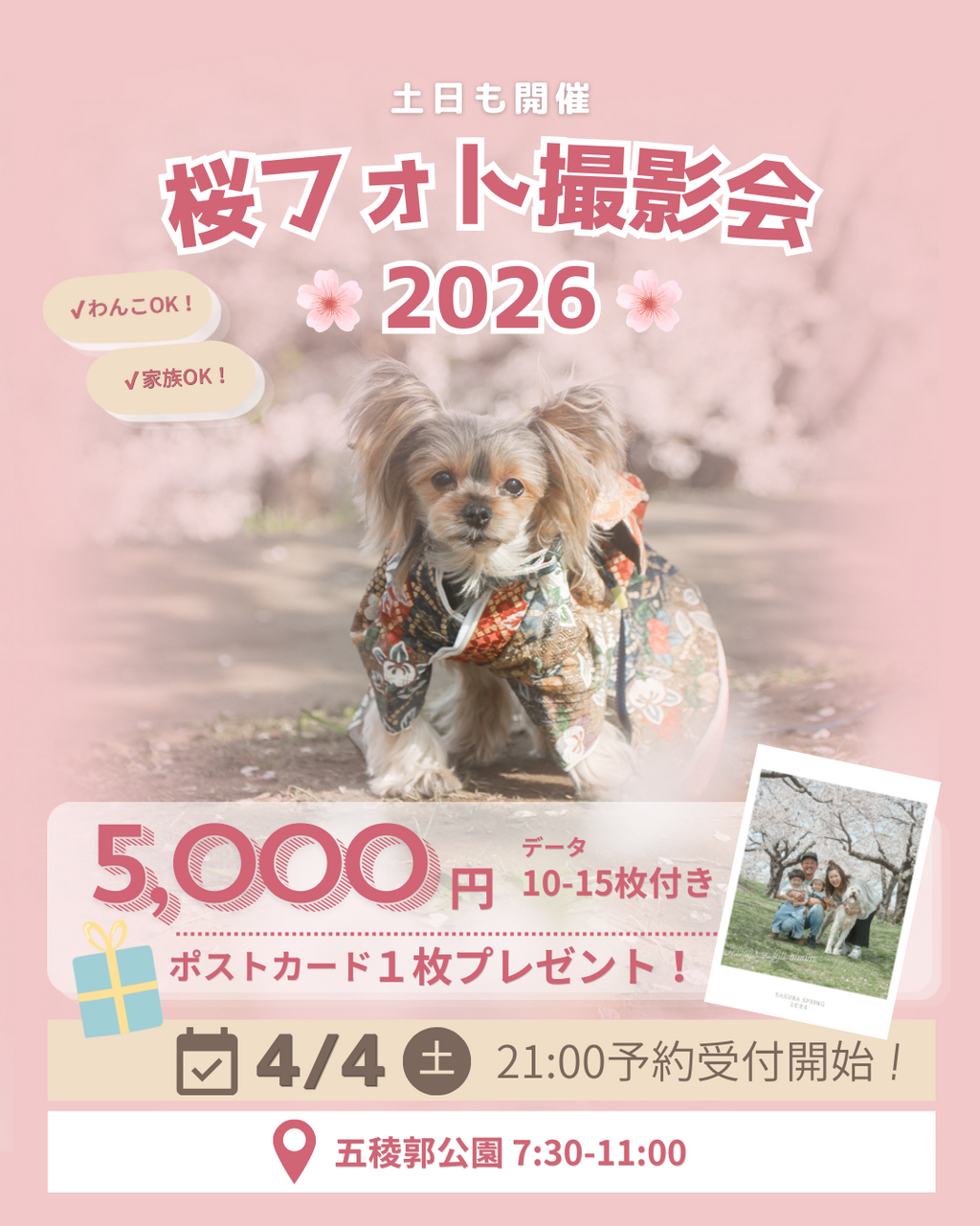 2026桜の撮影会