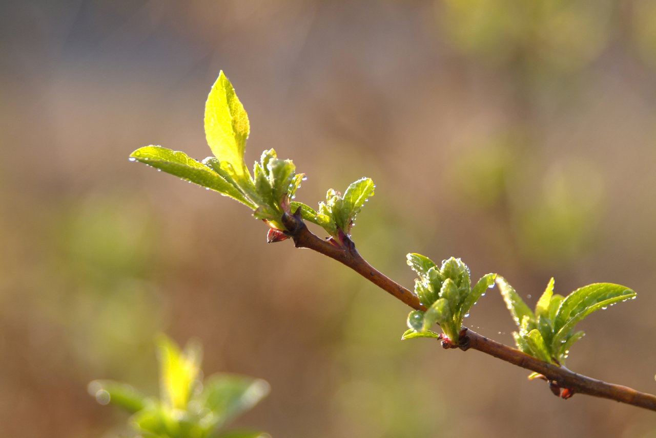 【文化講座】2/14原和人先生の俳句教室