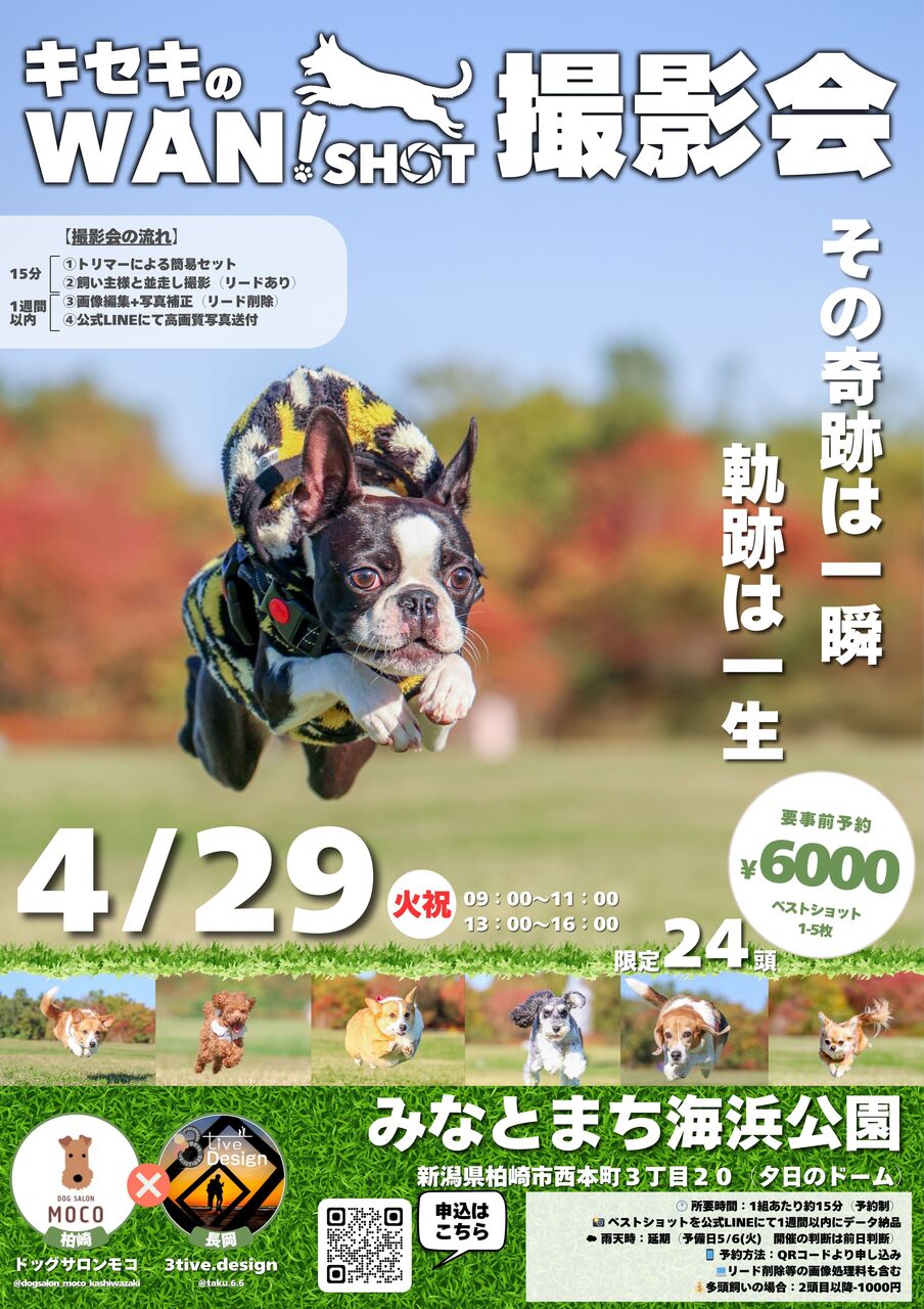 【雨天により中止】キセキのWAN!SHOT撮影会in柏崎