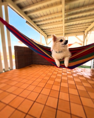 -Menu-タイ伝統医学に基づく女性のための民間ケア-