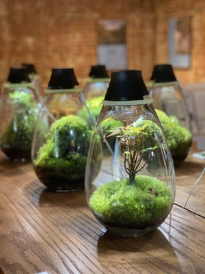 【いよてつ髙島屋】モスライト作成ワークショップ＜Feel The Garden＞