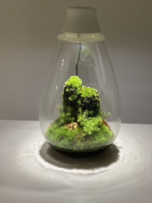 【いよてつ髙島屋】モスライト作成ワークショップ＜Feel The Garden＞