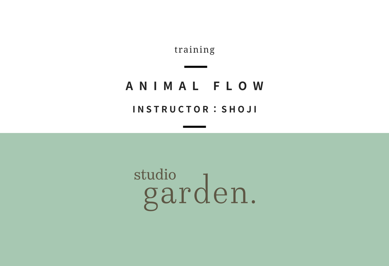 アニマルフロー（shoji）