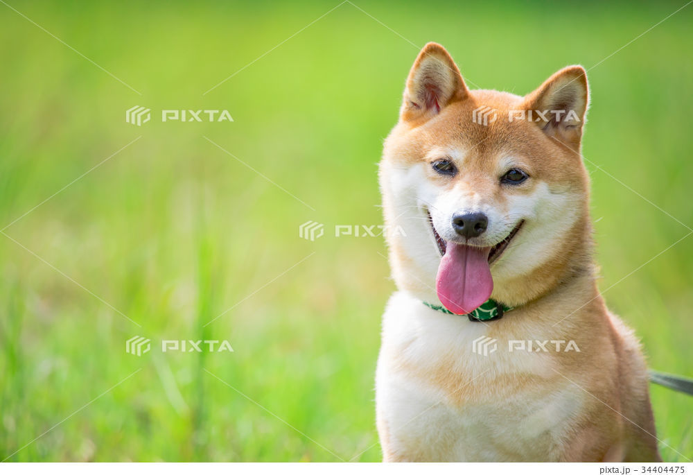 日本獣医師会主催　9月「日獣セミナー」