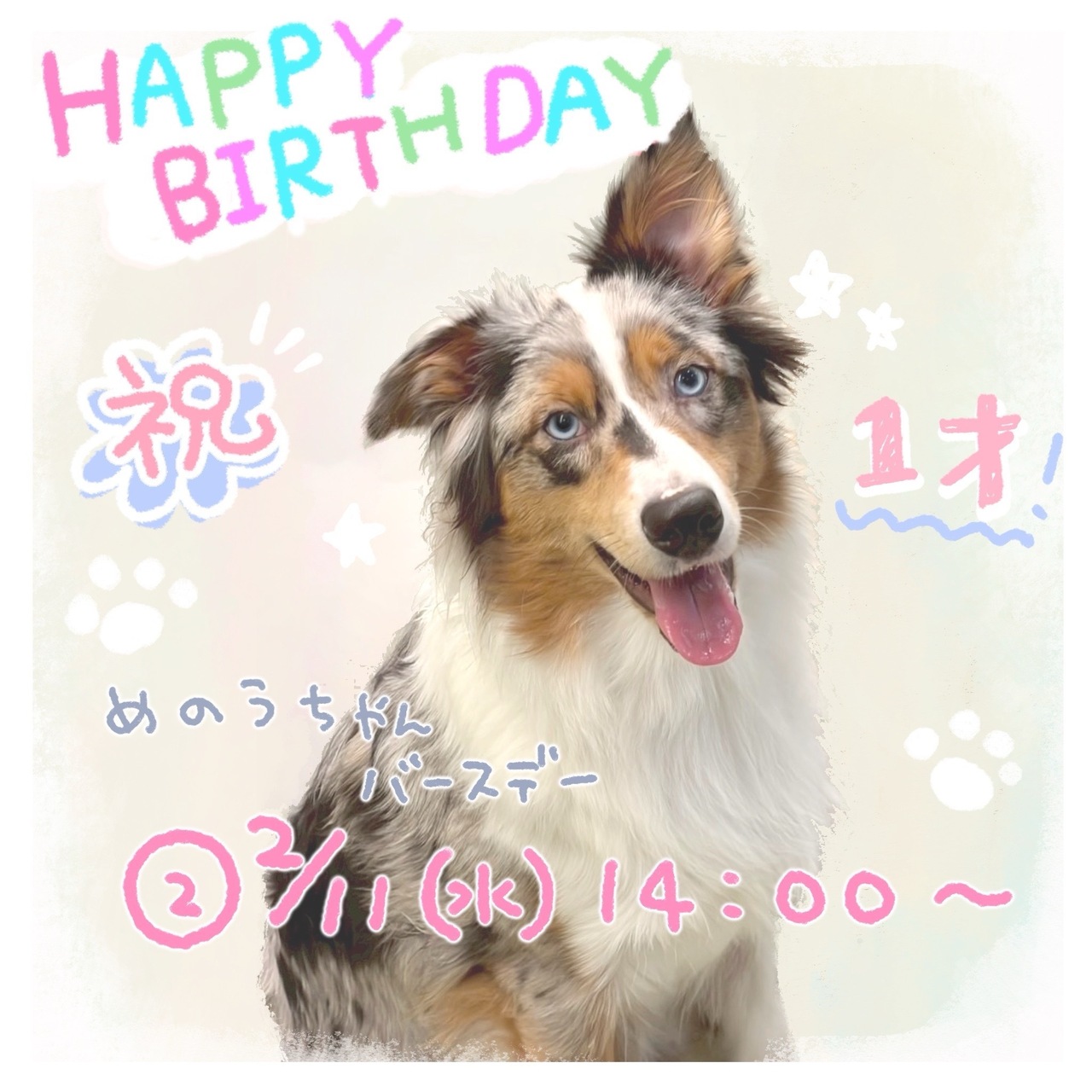 【2/11🎂瑪瑙バースデー予約🩶】もふもふタイム 60分《1ドリンク付き》