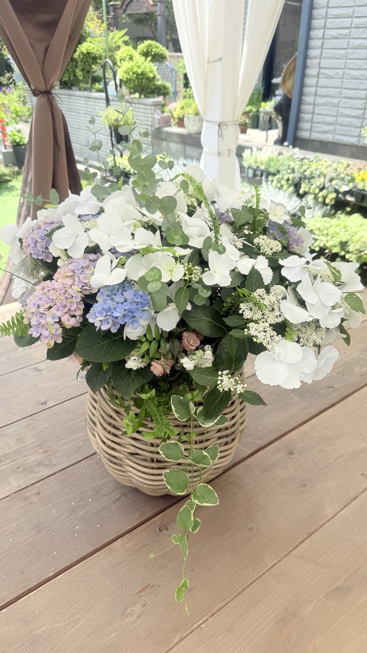 2026 4月スタートテクニカルコースzoom説明会