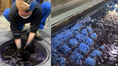 【プレミアム藍染め】藍建てに挑戦！本場徳島で藍染めプロの会