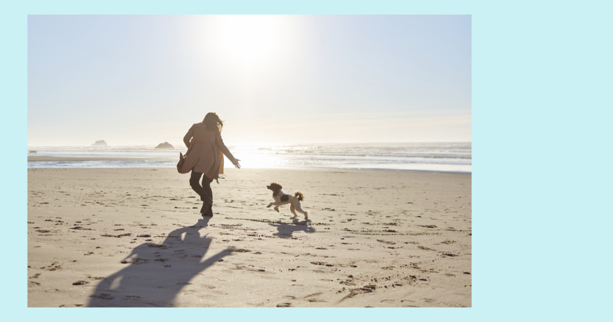 吠え癖の悩みと1ヵ月でおさらば!マンツーマンレッスン