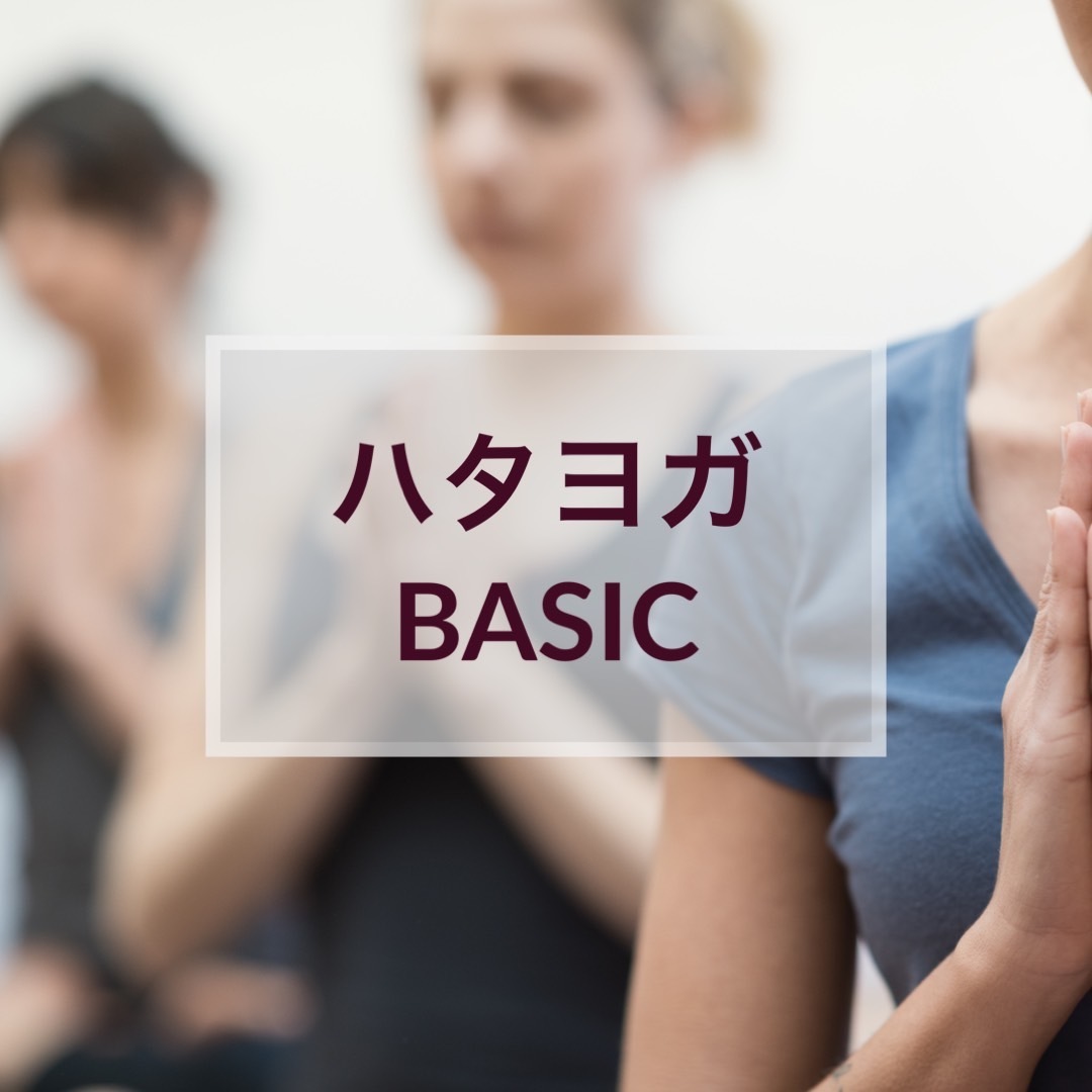 ハタヨガベーシック_ 強度★~★★