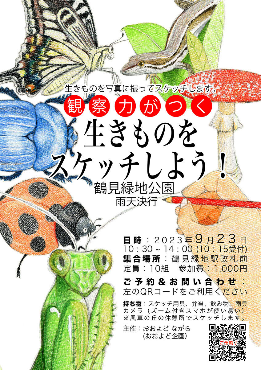 jc js ポロリ 観察力がつく「生きものをスケッチしよう」鶴見緑地