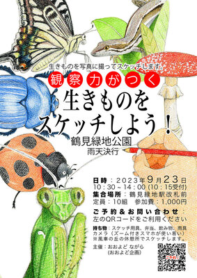観察力がつく「生きものをスケッチしよう」鶴見緑地