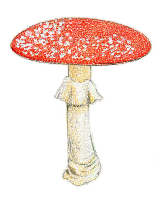 観察力がつく「生きものをスケッチしよう」鶴見緑地