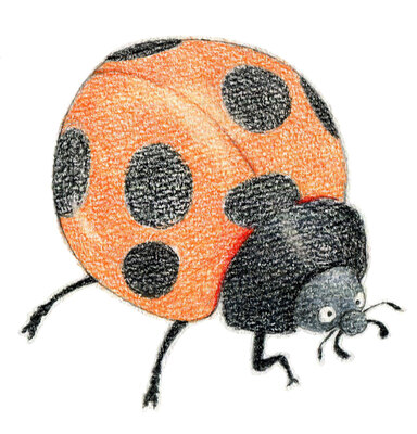 観察力がつく「生きものをスケッチしよう」鶴見緑地