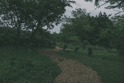 野香茶拝見場/Tasting room