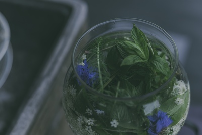 野香茶拝見場/Tasting room