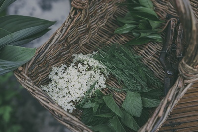 野香茶拝見場/Tasting room