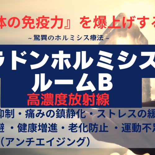 ラジウムウォール・自宅でホルミシスルーム体験いかがですか？ ラジウムウォール・自宅でホルミシスルーム体験いかがですか？
