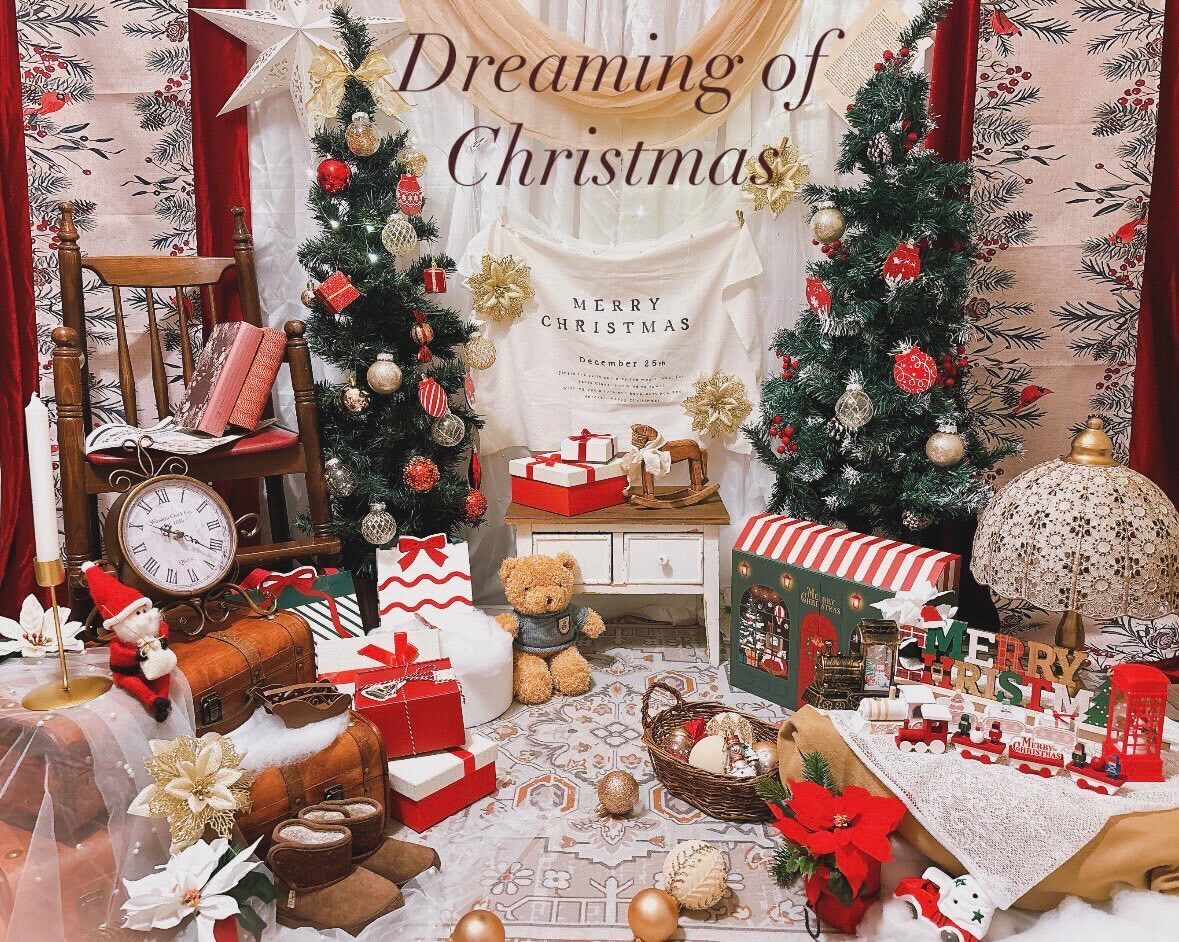 【12/6(土)開催】FP相談付き無料クリスマス撮影会🎅🌲