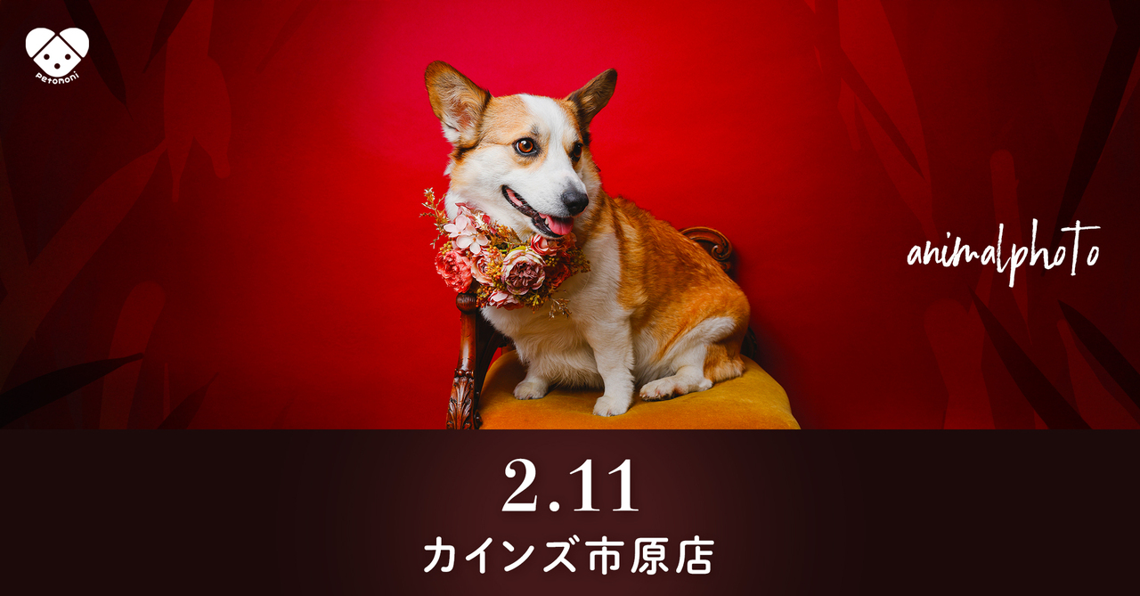 千葉県【カインズ市原店】2026年2月11日(水祝)