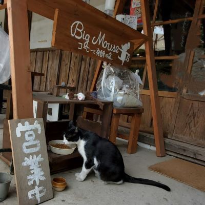 アトリエmiico 予約ページ