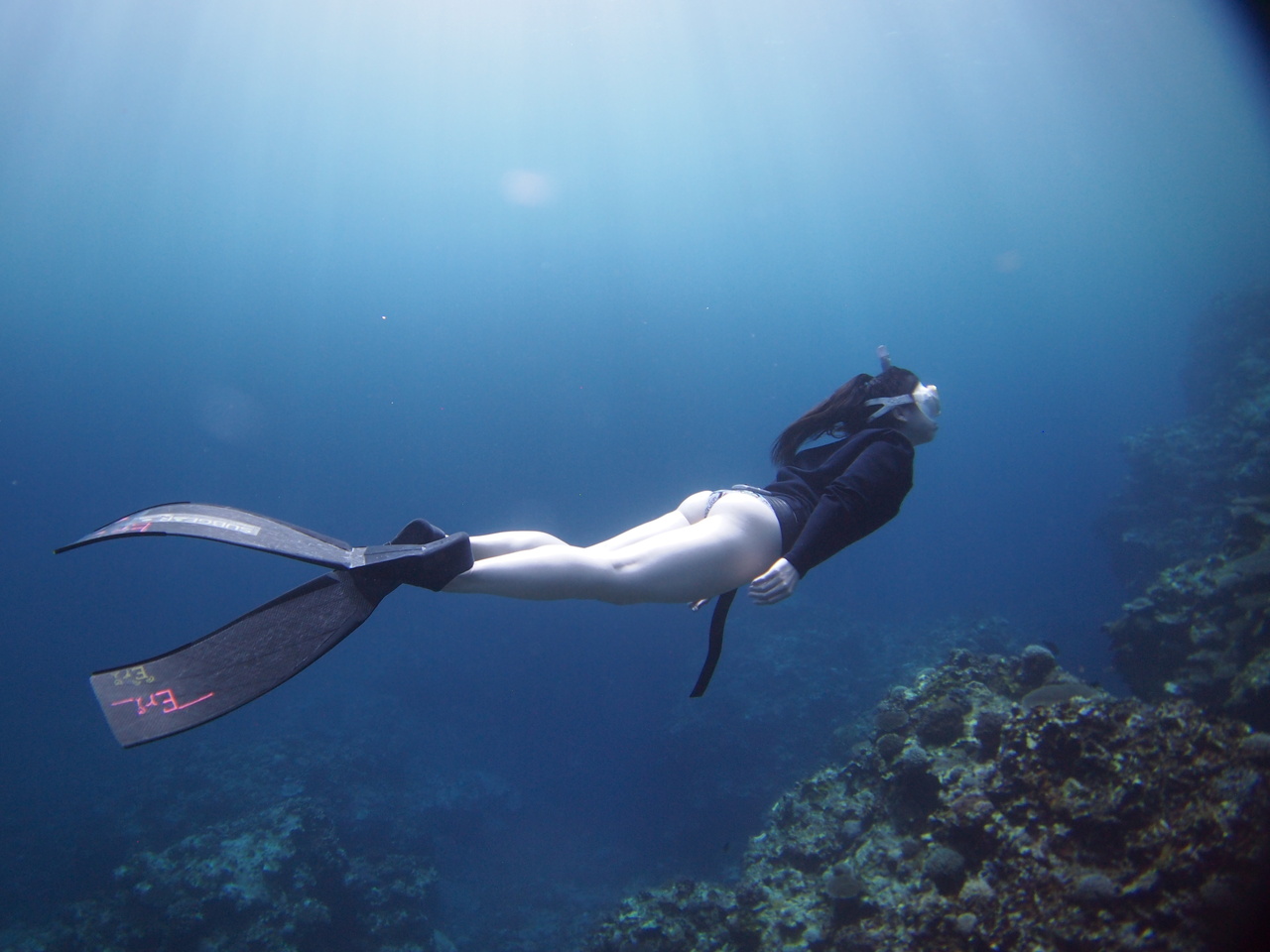 🌴🌴🌴🌴石垣島でフリーダイビングを体験してみよう（半日）