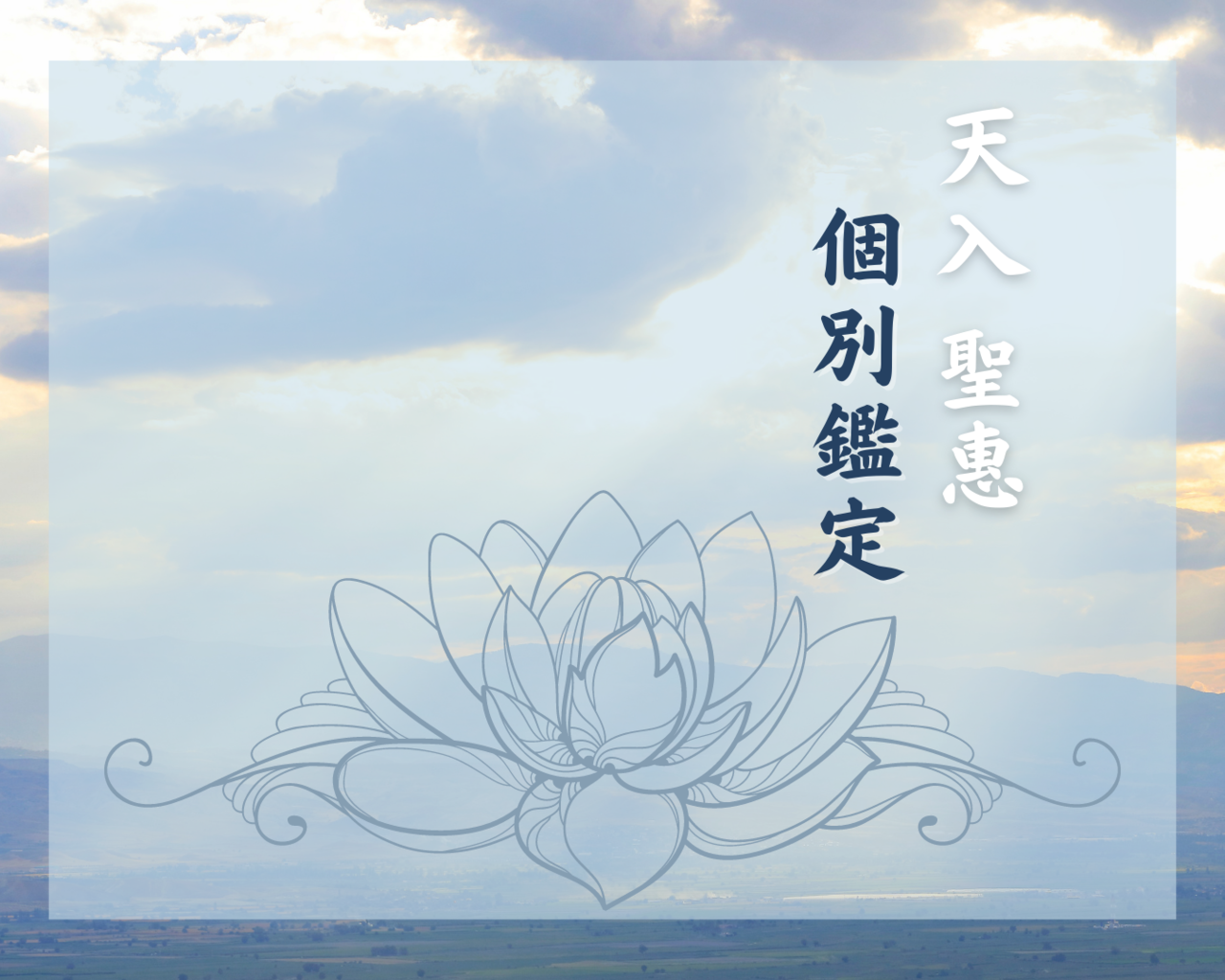 天入 聖惠 個別鑑定