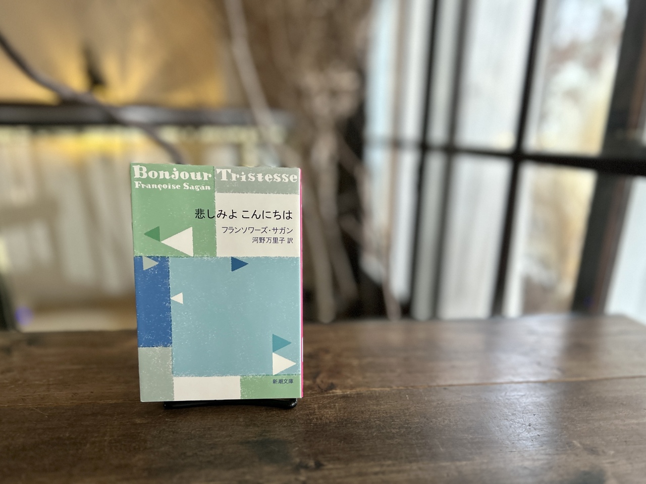 2/15(日) 名作を読む会 『悲しみよこんにちは』 at TEGAMISHA BOOKSTORE