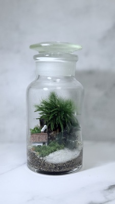 【 garageTOKYO４月ワークショップ 】薬瓶に水草のアヌビアスナナを入れたテラリウムを作ろう！！【いなみ】