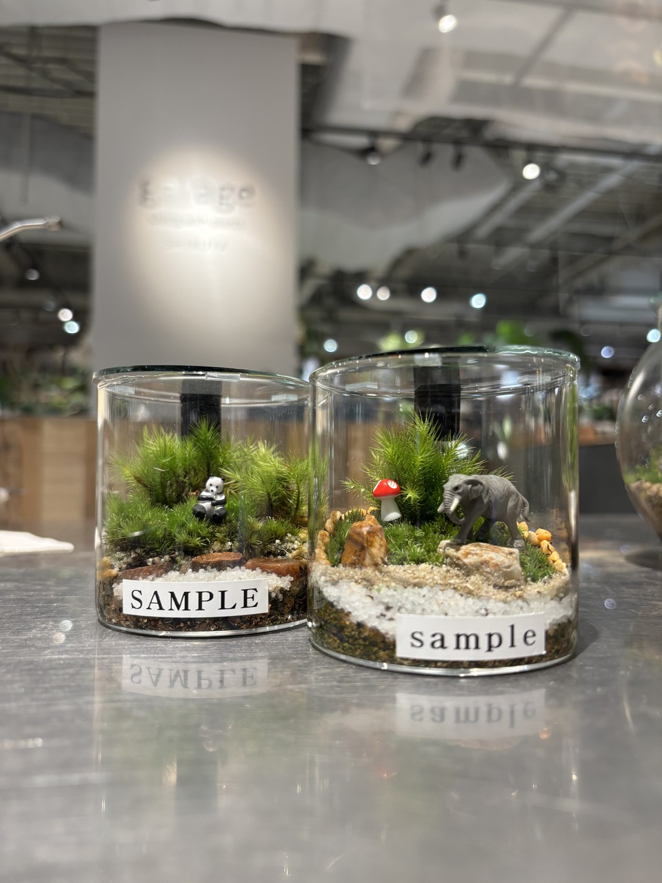 【渋谷SCRAMBLE SQURE】小さな苔テラリウム ワークショップ Feel The Garden