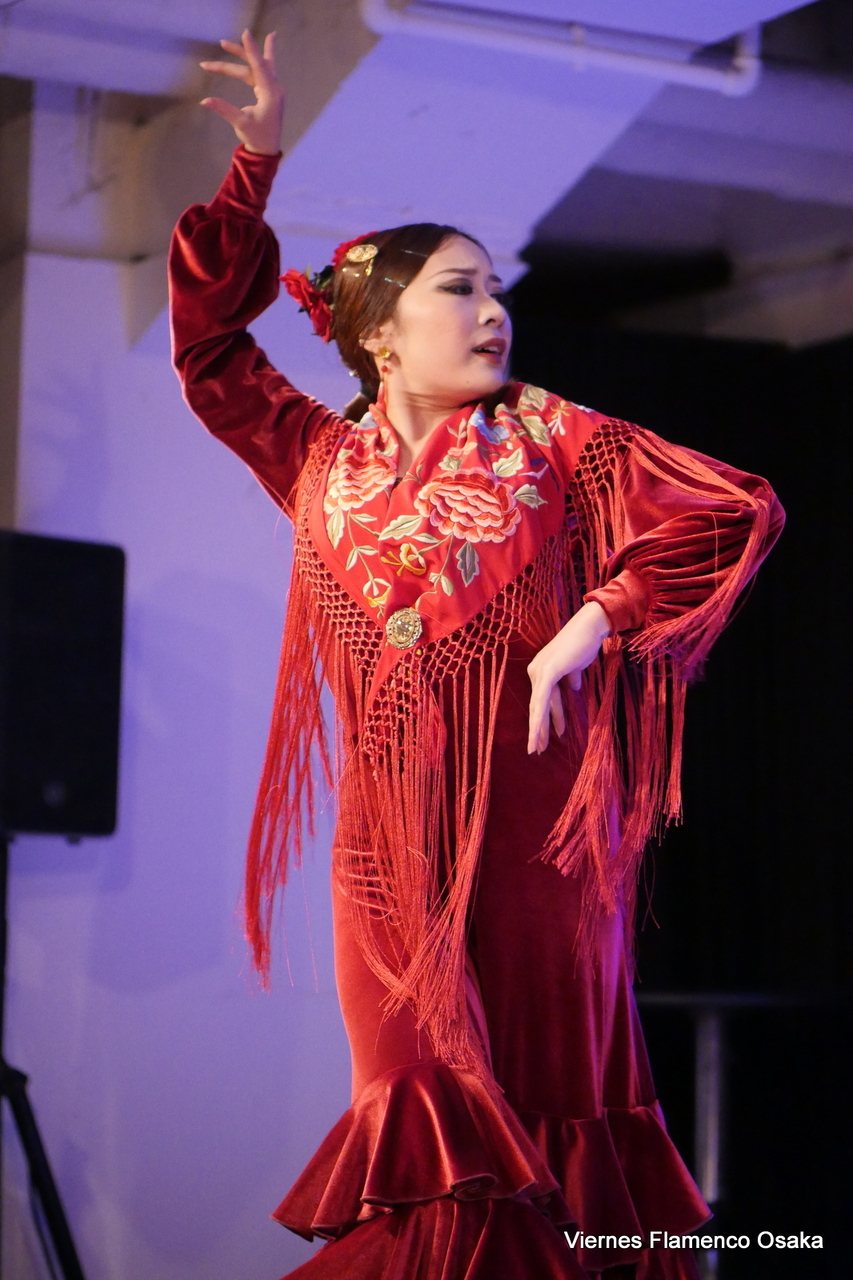 2月期プリンシピアンテ初級Alegrías