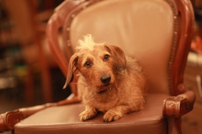 tête à tête HAIRのご予約のページです