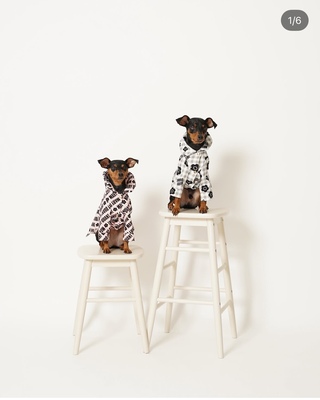 ペットプラン（所要時間45分｜撮影時間30分）