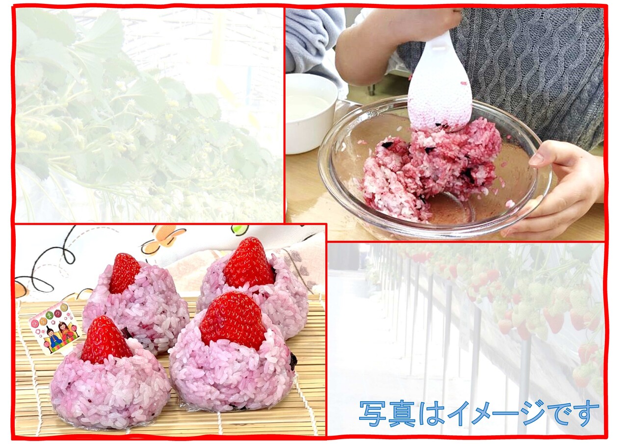 【ひな祭り企画】 ハスカップで桜餅風おはぎを作ろう （いちご収穫付）