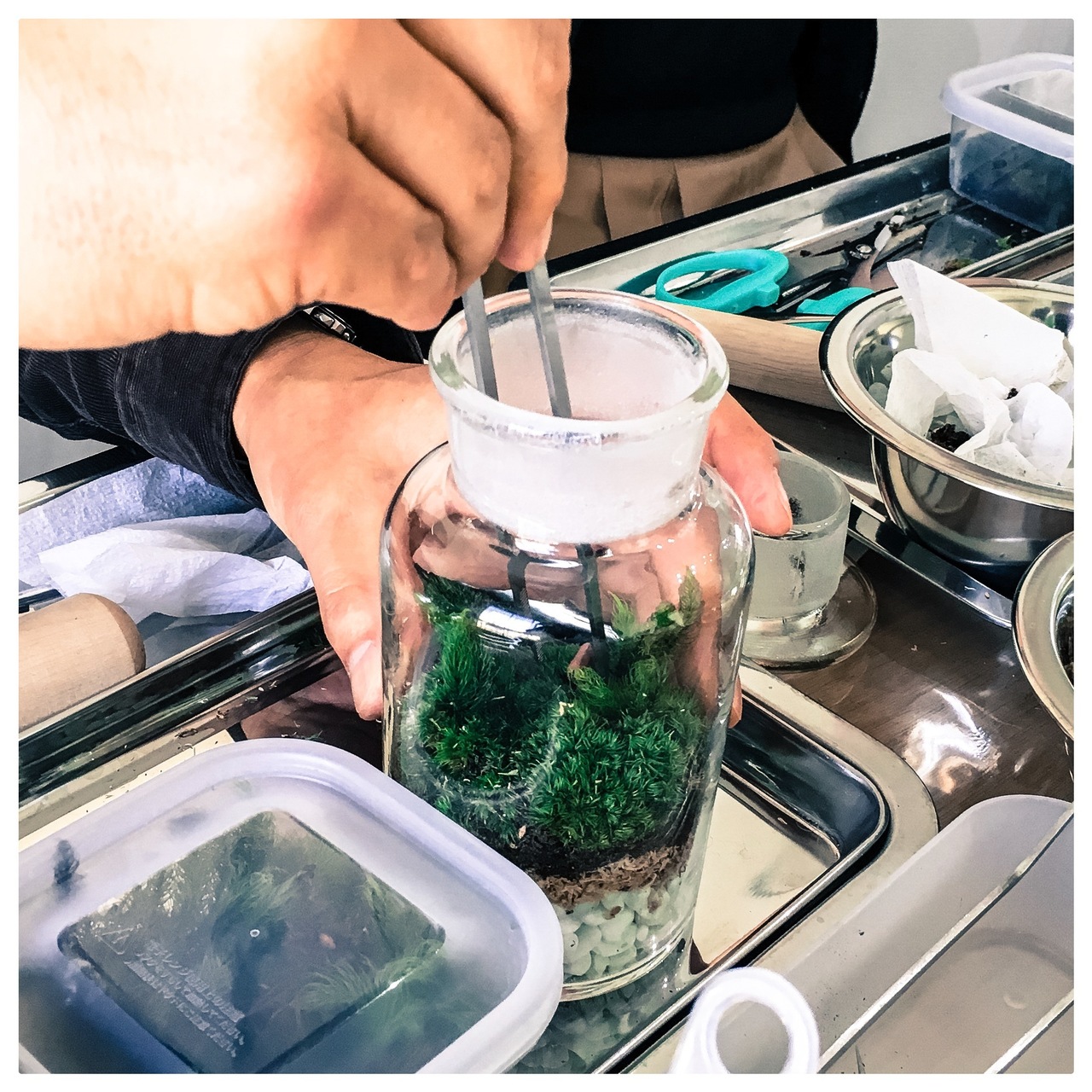 【博多阪急】【苔テラリウム　メンテナンス会】