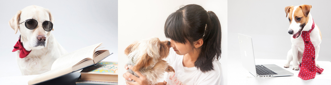 【トレーニング】　犬との暮らし～問題行動その前に～