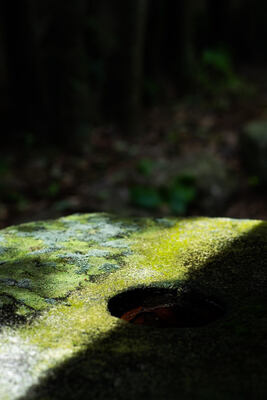 【12月分茶房営業 金・土曜】日果喫茶予約はこちらから