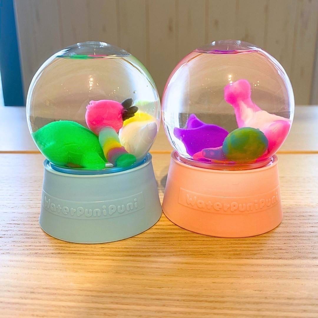 【横浜たまプラーザ】①うぉーたーぷにぷに｜2026年6月14日(日) 