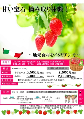 甘い宝石　摘み取り体験！　～地元食材をイタリアンで～(～GW迄)