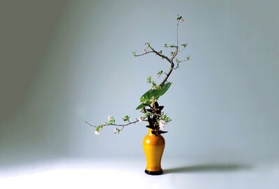 【Relaxation CLASS】心のままに花を感じる。～気軽な華道CLASS～