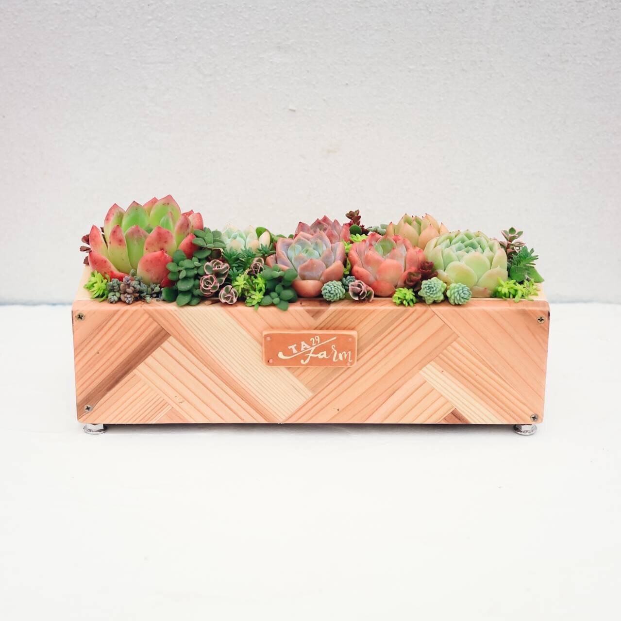 11/13(木)フラリエグリーンプラスハンドメイドフェスタ 寄せ植えワークショップ