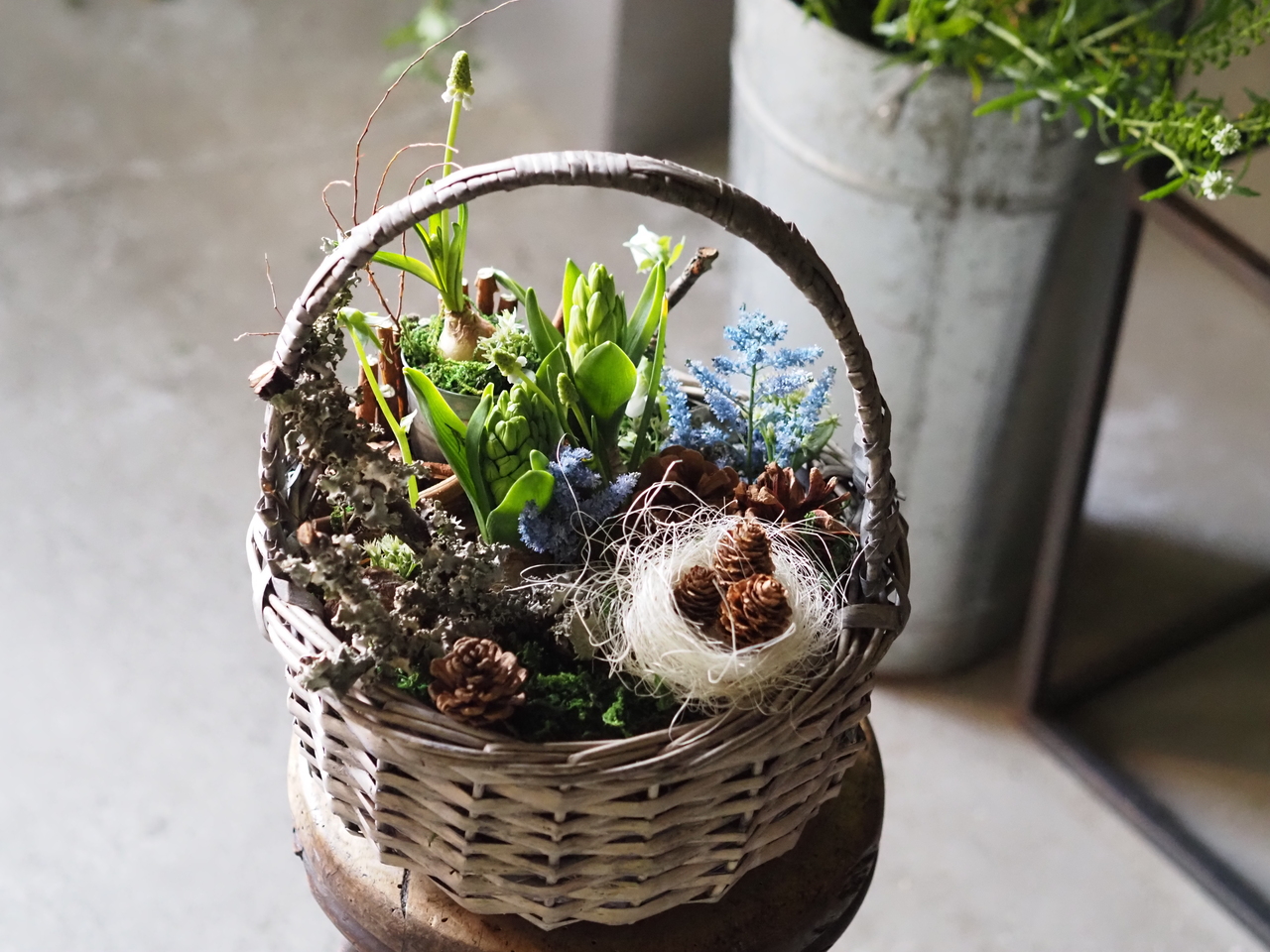 1/31（土）【春を待つ、球根のバスケット】