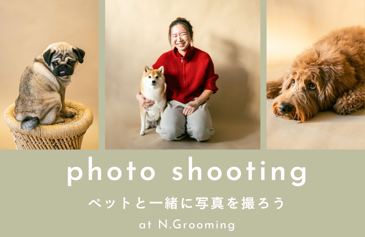 | 2026 spring | ペット撮影会 at N.Grooming 