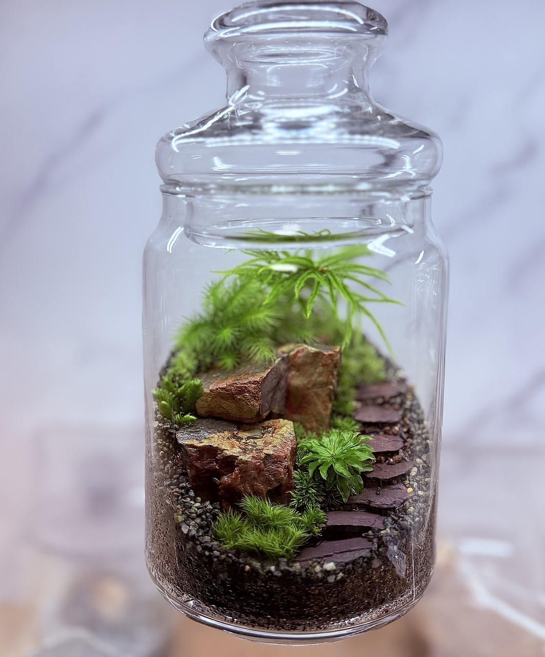 【 2026年garageTOKYO 】階段ワークショップ【いなみ】