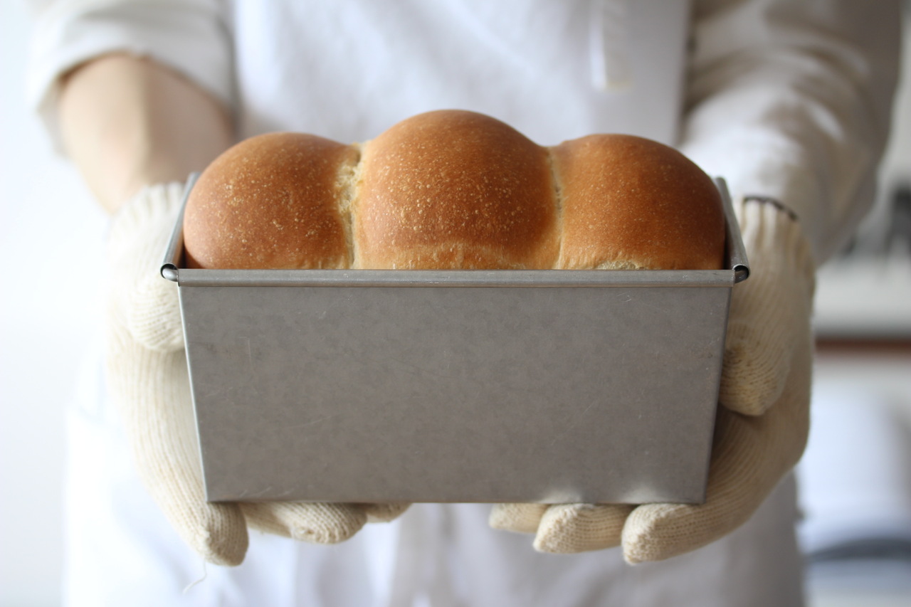 白神こだま酵母定期コース